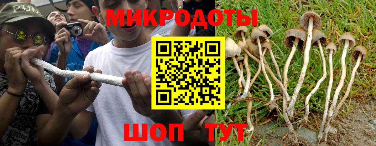 Псилоцибиновые грибы прущие грибы  Вход с VPN  Псилоцибиновые грибы мицелий  Дзержинск 